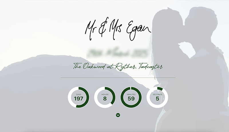 Wedding Websites